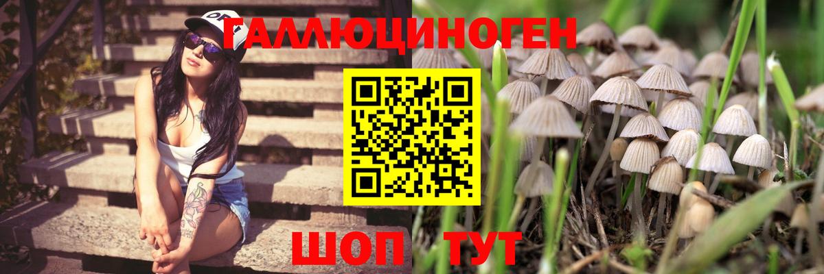 Галлюциногенные грибы мухоморы  Вход с VPN  Вышний Волочёк 