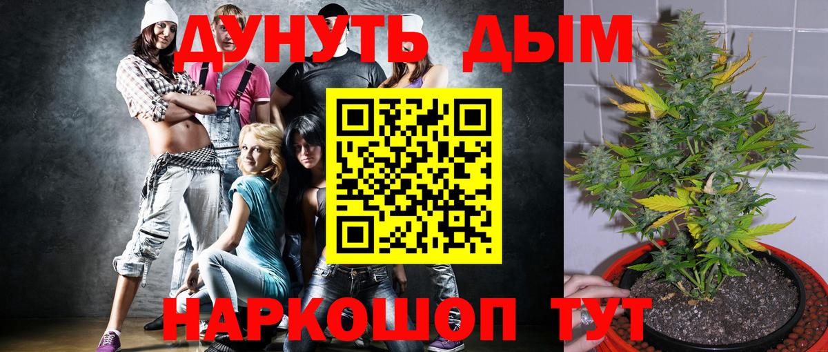 Бошки марихуана семена Вышний Волочёк